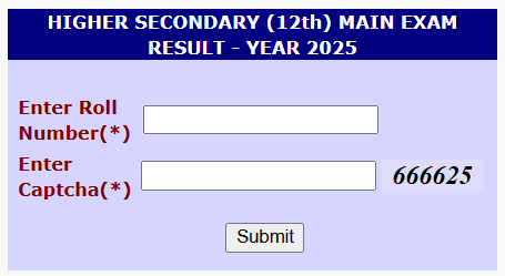 CGBSE 12th Result 2025
